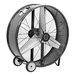 Fanlar