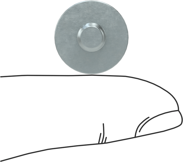 Dişli Saplamalı Kapalı Neodim Mıknatıs, 4,5 mm Kalınlık, 16 mm OD