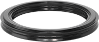 1161N19