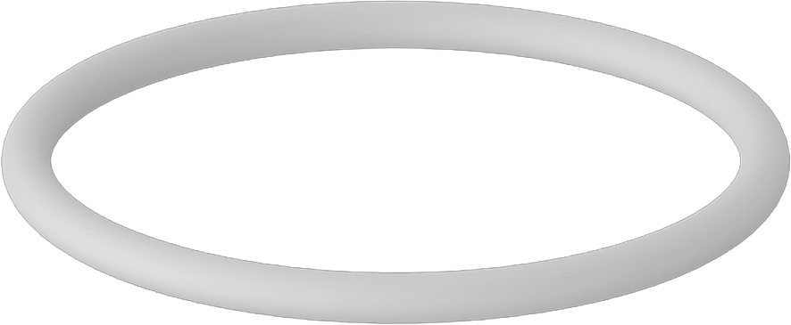 Temiz Oda Viton® Floroelastomer O-Ring, Kimyasal Dayanıklı, Yüksek Saflık, Dash Numarası 022