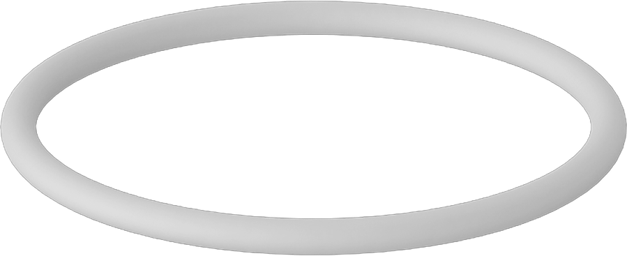 Temiz Oda Viton® Floroelastomer O-Ring, Kimyasal Dayanıklı, Yüksek Saflık, Dash Numarası 024
