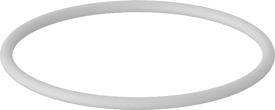 Temiz Oda Viton® Floroelastomer O-Ring, Kimyasal Dayanıklı, Yüksek Saflık, Dash No. 029