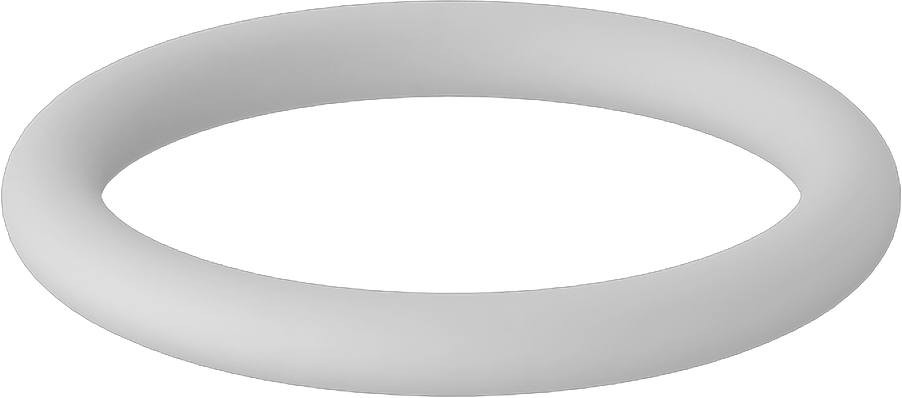 Temiz Oda Viton® Floroelastomer O-Ring, Kimyasal Dayanıklı, Yüksek Saflık, Dash Numarası 214
