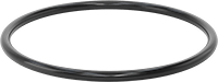 1169N16