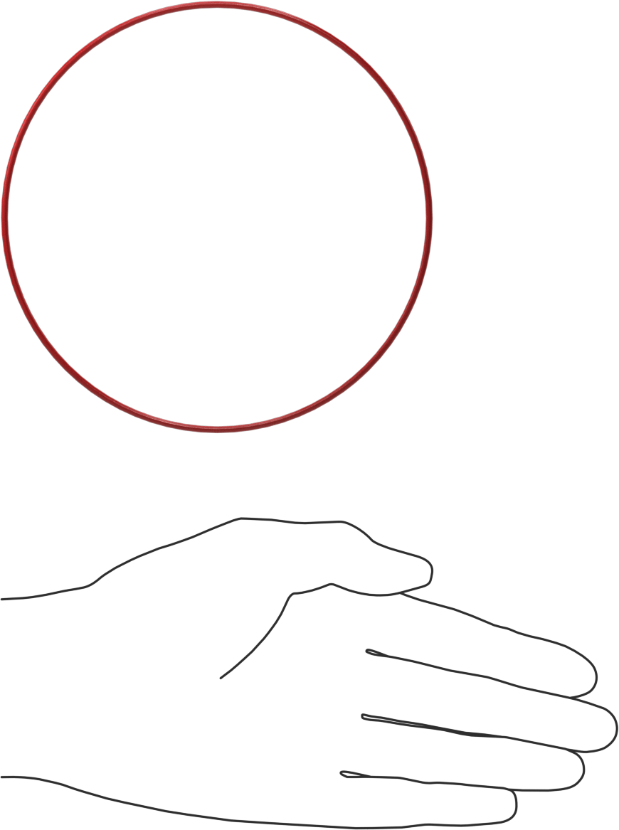 Yüksek Sıcaklık Silikon O-Ringler, 2 mm Genişlik