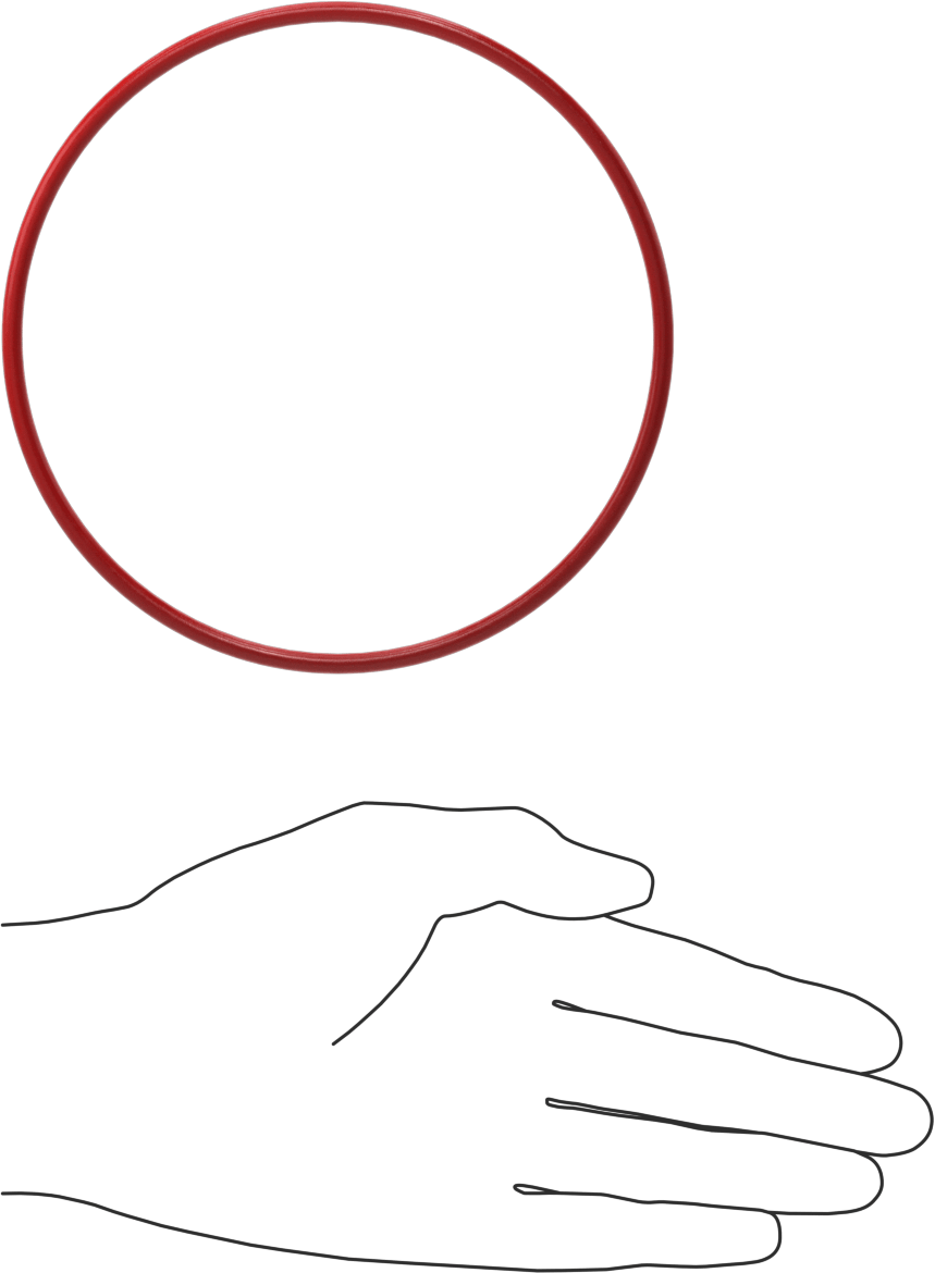 Yüksek Sıcaklık Silikon O-Ringler, 4 mm Genişlik