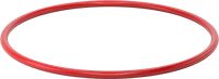 1169N207