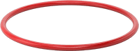 1169N209