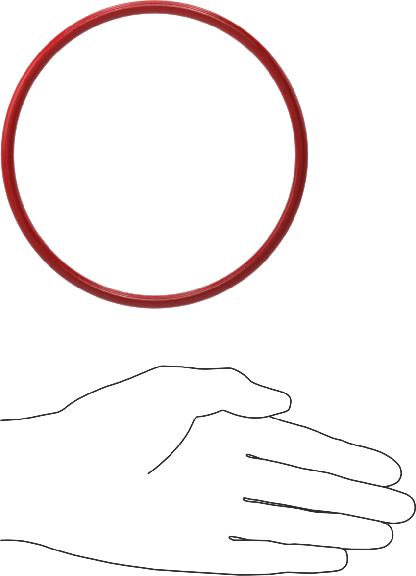 Yüksek Sıcaklık Silikon O-Ringler, 5,8 mm Genişlik