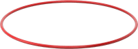 1169N302