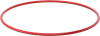 1169N303