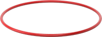 1169N304