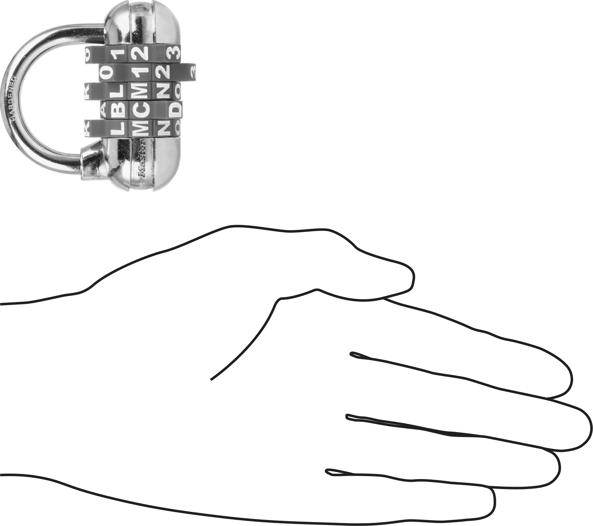 Sıfırlanabilir Şifreli Asma Kilit, Sağlam Çelik Gövde, Master Lock 1534D