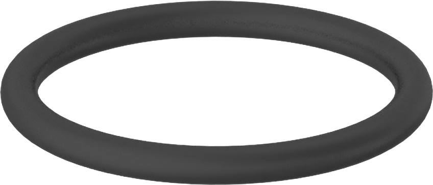 Kimyasallara Dayanıklı Viton® Floroelastomer O-Ring, Mil-R-83248, 1/16 Kesirli Genişlik, Dash No. 017
