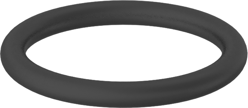 Kimyasallara Dayanıklı Viton® Floroelastomer O-Ring, Mil-R-83248, 3/32 Kesirli Genişlik, Dash No. 117