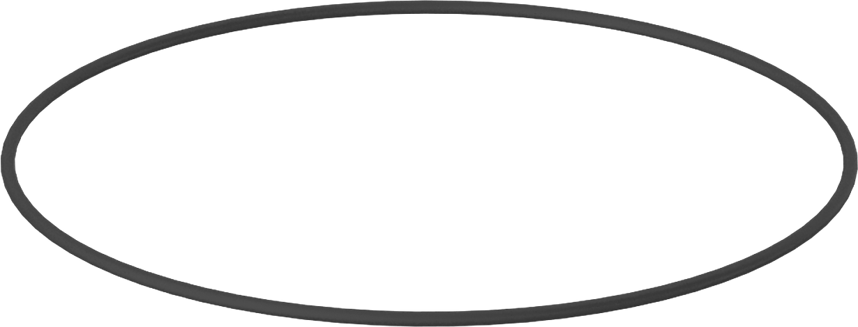 Kimyasallara Dayanıklı Viton® Floroelastomer O-Ring, Mil-R-83248, 1/16 Kesirli Genişlik, Dash No. 046