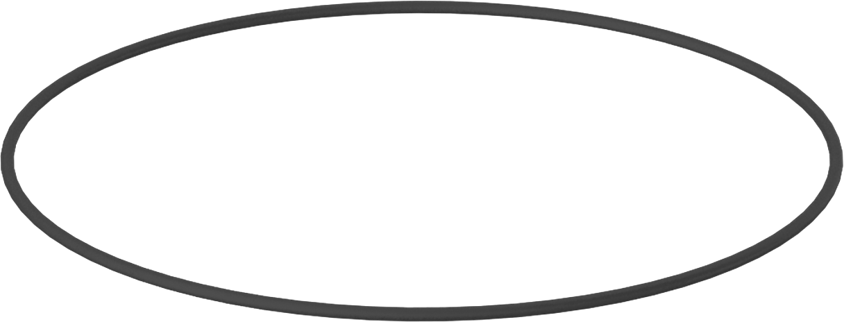 Kimyasallara Dayanıklı Viton® Floroelastomer O-Ring, Mil-R-83248, 1/16 Kesirli Genişlik, Dash No. 047