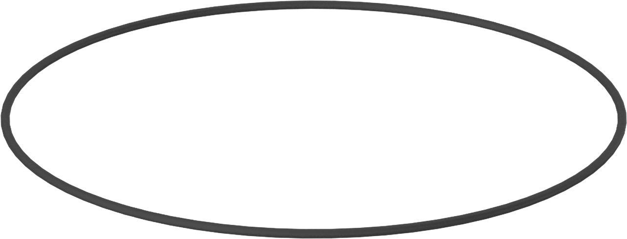 Kimyasallara Dayanıklı Viton® Floroelastomer O-Ring, Mil-R-83248, 1/16 Kesirli Genişlik, Dash No. 049