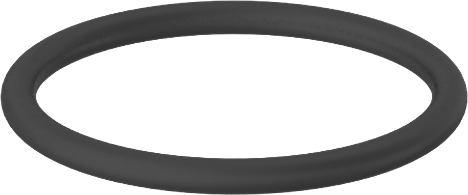Kimyasallara Dayanıklı Viton® Floroelastomer O-Ring, Mil-R-83248, 3/32 Kesirli Genişlik, Dash No. 123