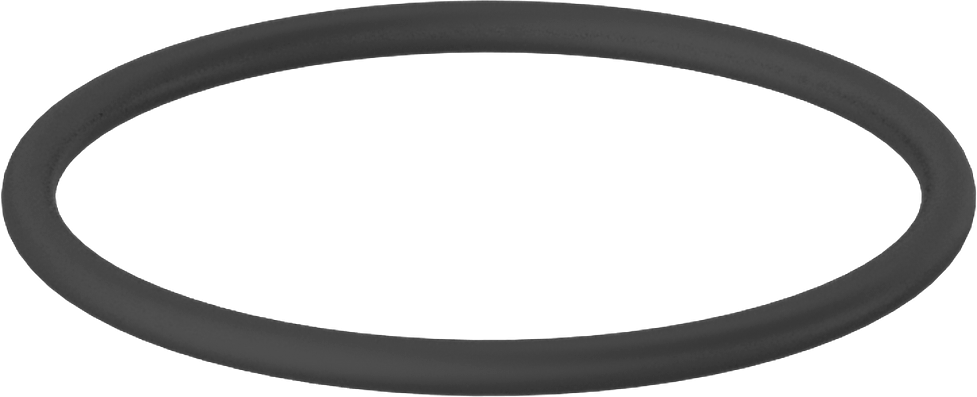 Kimyasallara Dayanıklı Viton® Floroelastomer O-Ring, Mil-R-83248, 3/32 Kesirli Genişlik, Dash No. 131