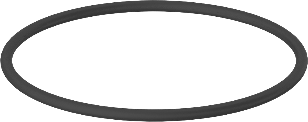 Kimyasallara Dayanıklı Viton® Floroelastomer O-Ring, Mil-R-83248, 3/32 Kesirli Genişlik, Dash No. 145