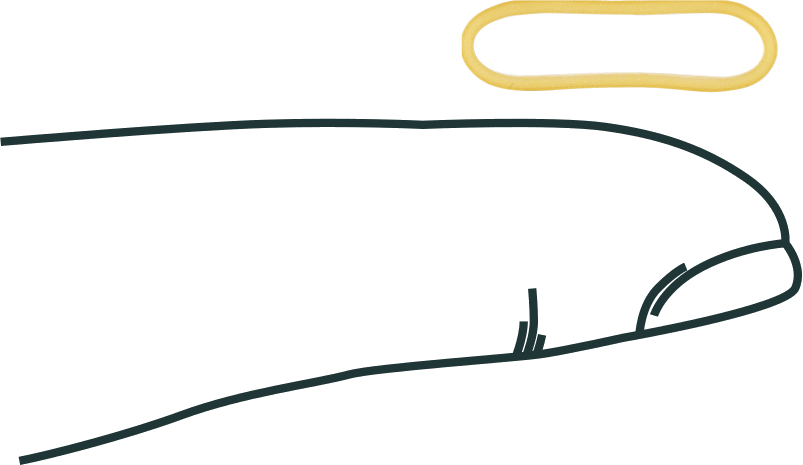Lastik Bantlar, Bej Doğal Kauçuk, Boyut 8, 1/16“ Genişlik x 7/8” Uzunluk