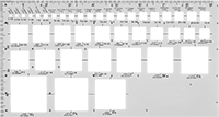 1244T53