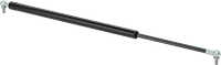1268N19