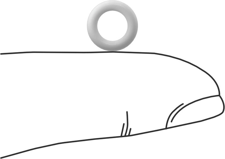 Yumuşak Viton® Floroelastomer O-Ring, FDA Uyumlu, 1/16 Kesirli Genişlik, Dash No. 009