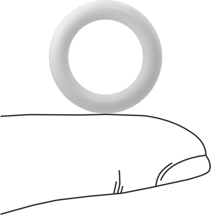 Yumuşak Viton® Floroelastomer O-Ring, FDA Uyumlu, 1/8 Kesirli Genişlik, Dash No. 207