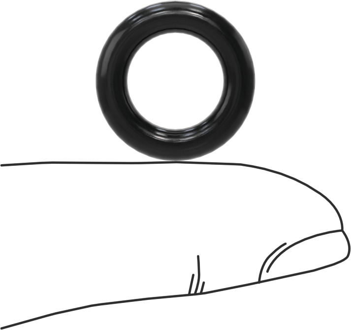 Kimyasallara Dayanıklı Viton® Floroelastomer O-Ring, Süper Esnek, 1/8 Kesirli Genişlik, Dash No. 205