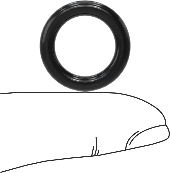 Kimyasallara Dayanıklı Viton® Floroelastomer O-Ring, Süper Esnek, 1/8 Kesirli Genişlik, Dash No. 207