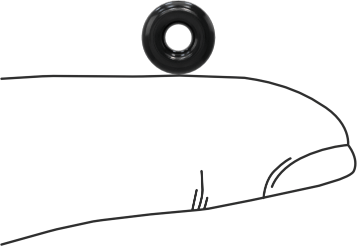 Kimyasallara Dayanıklı Viton® Floroelastomer O-Ring, Süper Esnek, 3/32 Kesirli Genişlik, Dash No. 104