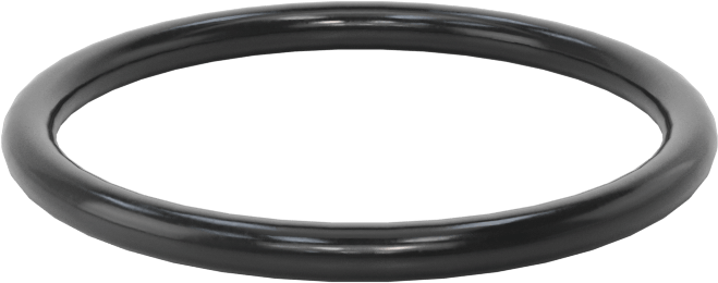 Kimyasallara Dayanıklı Viton® Floroelastomer O-Ring, Süper Esnek, 3/32 Kesirli Genişlik, Dash No. 123