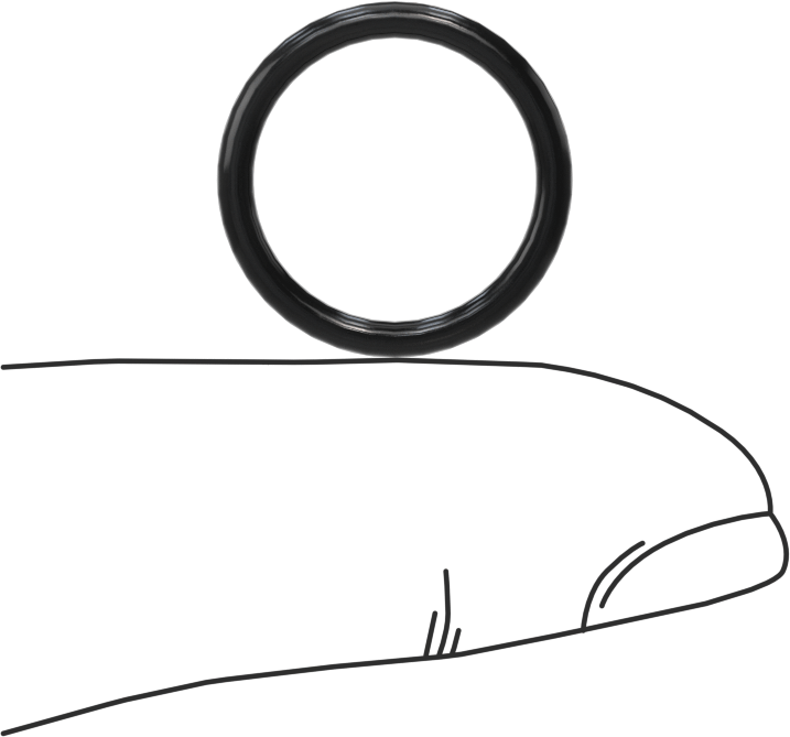 Temiz Oda Viton® Floroelastomer O-Ringler, Kimyasal Dayanıklı, 1/16 Kesirli Genişlik, Dash Numarası 015