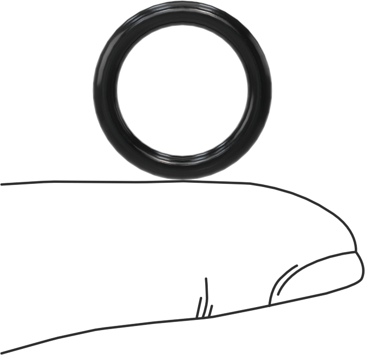 Temiz Oda Viton® Floroelastomer O-Ringler, Kimyasal Dayanıklı, 3/32 Kesirli Genişlik, Dash Numarası 113