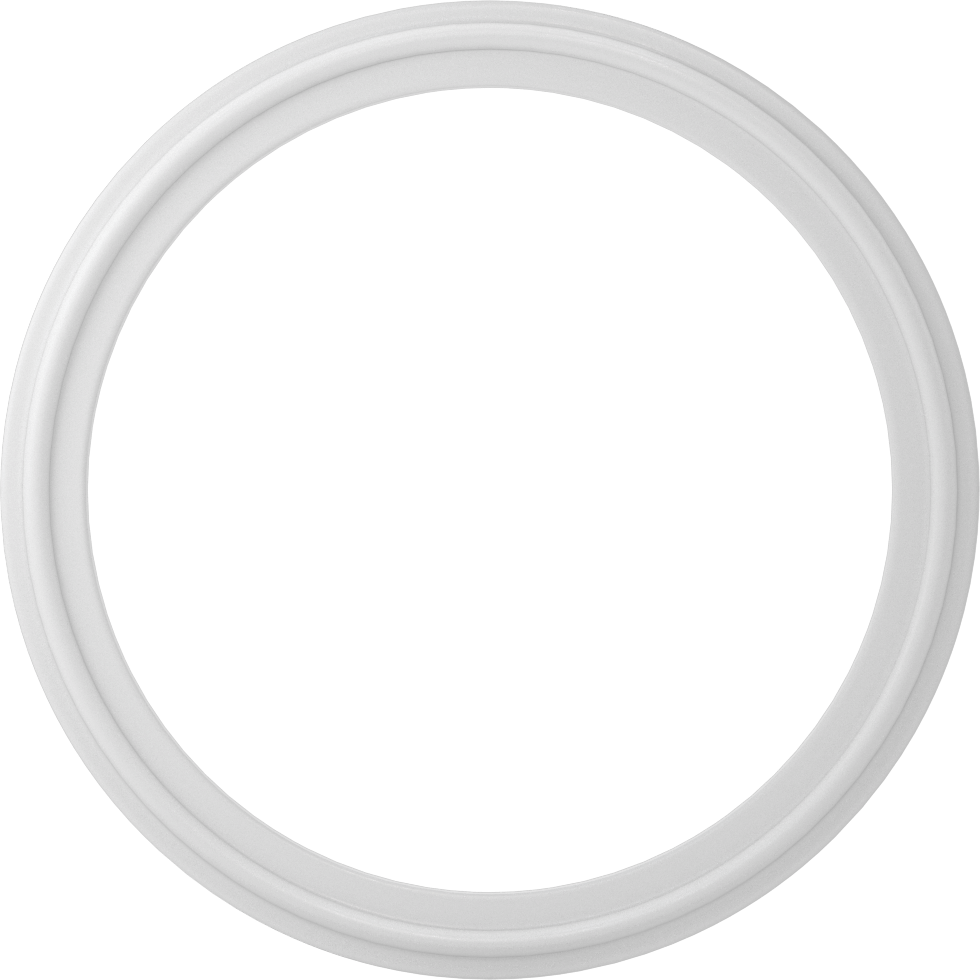 Hızlı Kelepçeli Boru Bağlantı Elemanları için Conta, Temiz Oda PTFE, 4" Boru Dış Çapı için