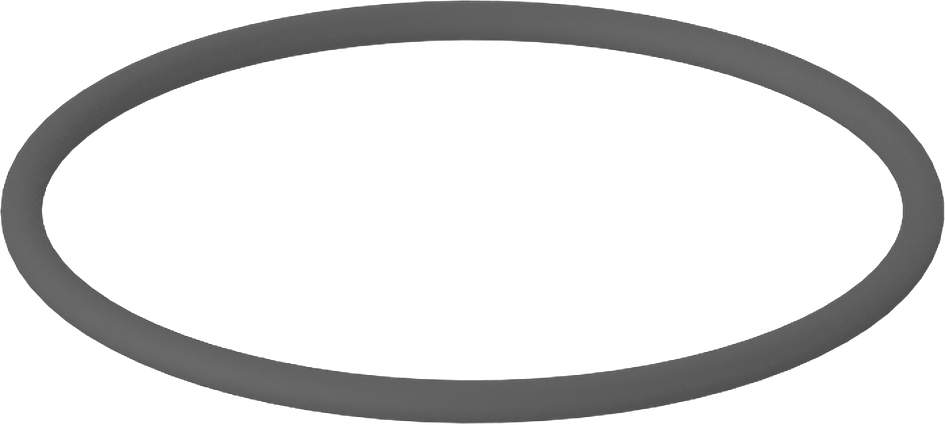 Metal Dedektörü Sınıfı Floroelastomer O-Ring, Kimyasal Dayanıklı, 1/16 Kesirli Genişlik, Dash No. 029
