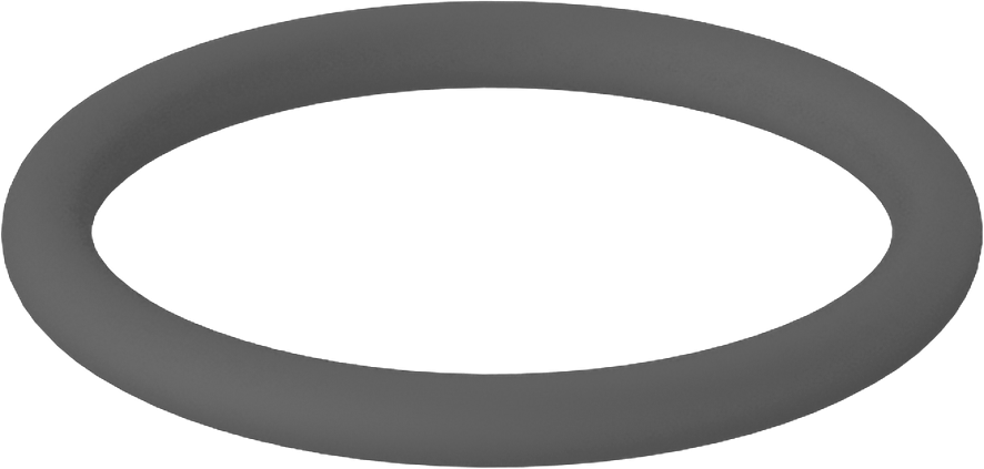 Metal Dedektörü Sınıfı Floroelastomer O-Ring, Kimyasal Dayanıklı, 3/32 Kesirli Genişlik, Dash Numarası 119