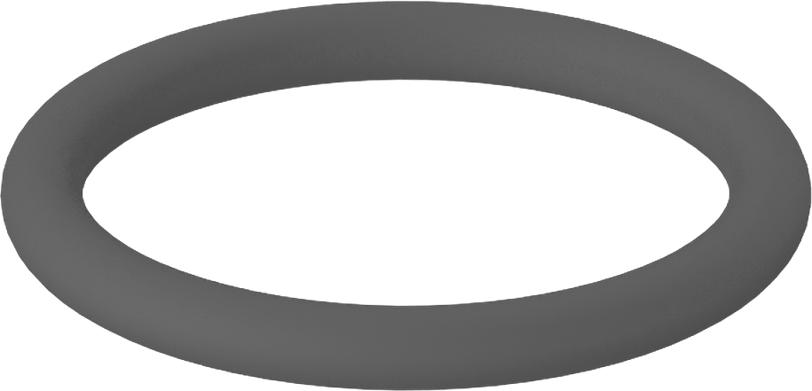 Metal Dedektörü Sınıfı Floroelastomer O-Ring, Kimyasal Dayanıklı, 1/8 Kesirli Genişlik, Dash No. 216