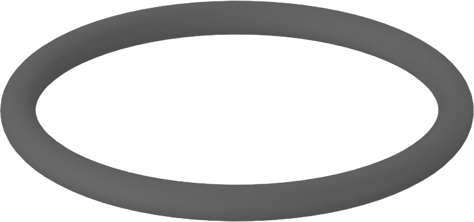 Metal Dedektörü Sınıfı Floroelastomer O-Ring, Kimyasal Dayanıklı, 1/8 Kesirli Genişlik, Dash Numarası 223