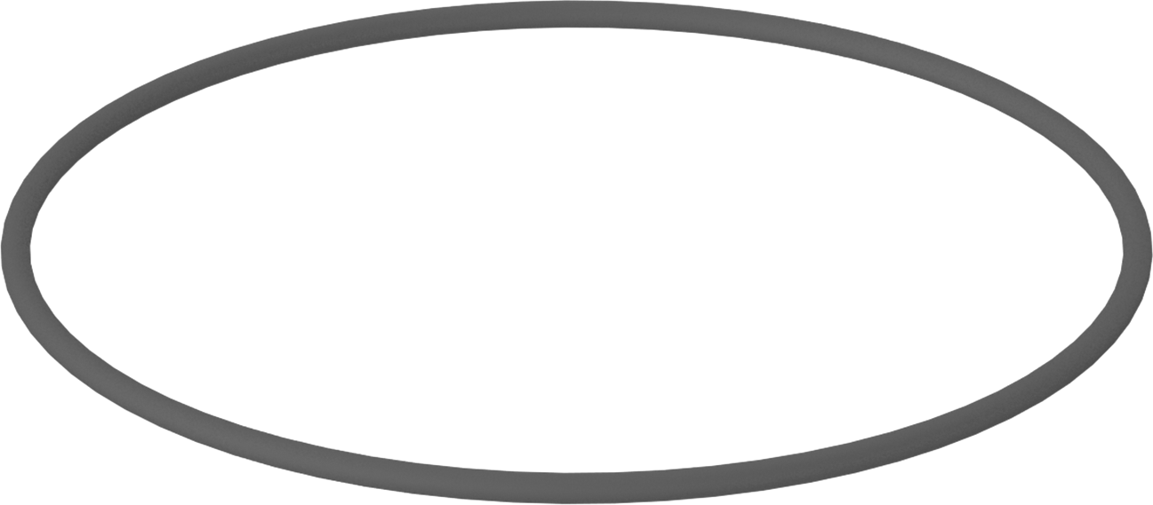 Metal Dedektörü Sınıfı Floroelastomer O-Ring, Kimyasal Dayanıklı, 1/8 Kesirli Genişlik, Dash Numarası 253