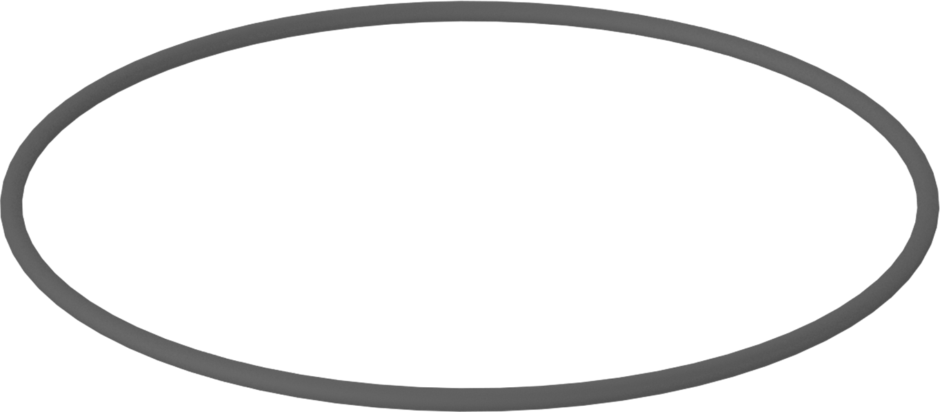 Metal Dedektörü Sınıfı Floroelastomer O-Ring, Kimyasal Dayanıklı, 1/8 Kesirli Genişlik, Dash Numarası 257