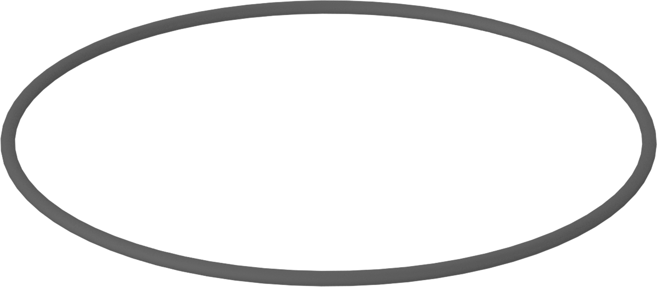 Metal Dedektörü Sınıfı Floroelastomer O-Ring, Kimyasal Dayanıklı, 1/8 Kesirli Genişlik, Dash Numarası 259