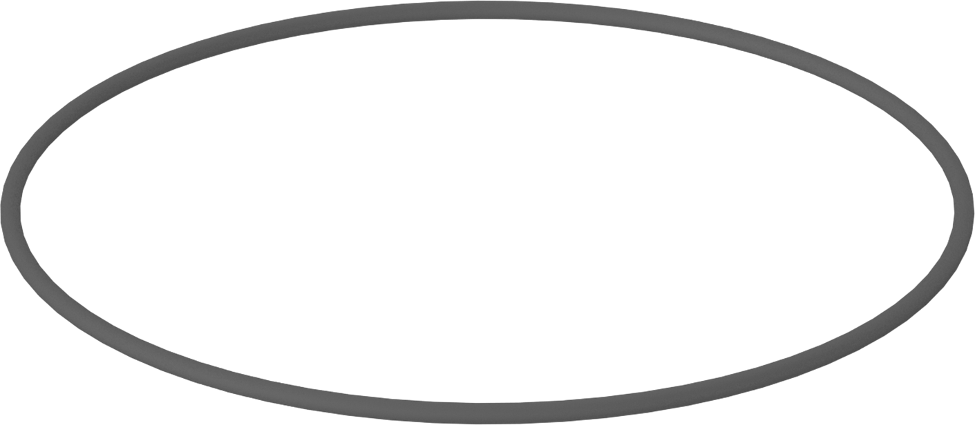 Metal Dedektörü Sınıfı Floroelastomer O-Ring, Kimyasal Dayanıklı, 1/8 Kesirli Genişlik, Dash Numarası 261