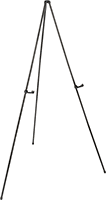 13535T16