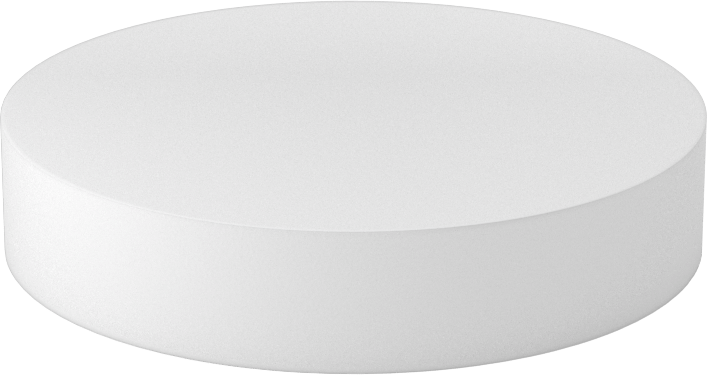 Kimyasallara Dayanıklı Kaygan PTFE Disk, 1" Uzunluk, 5" Çap