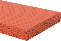 1449N206
