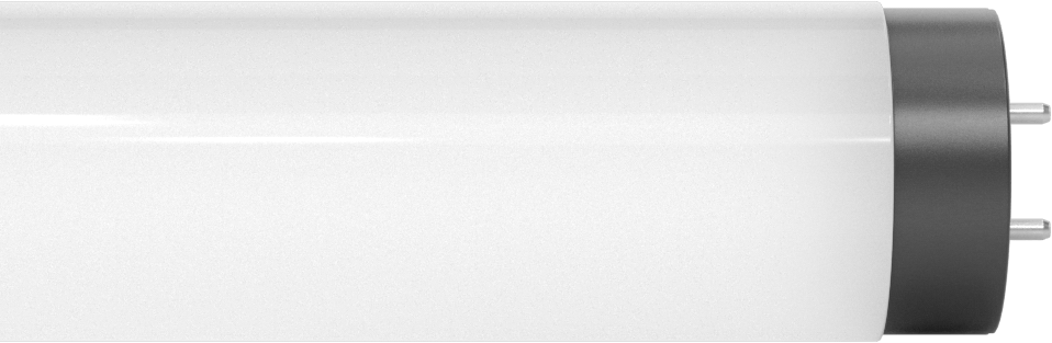 Çift Pimli Tüp Ampuller, T12, 18" Toplam Uzunluk, 4100K, 800 Lumens