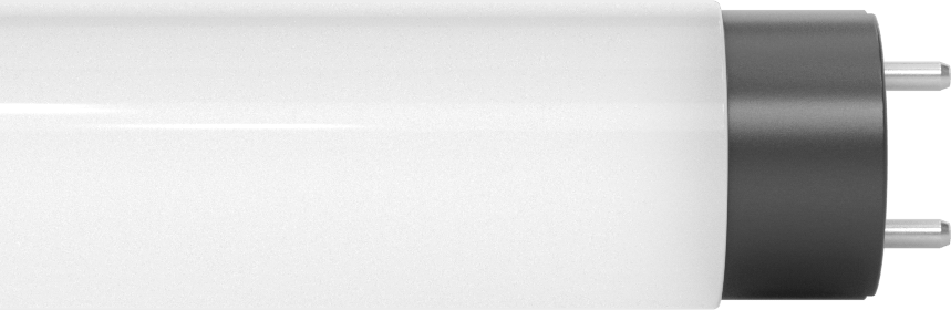 Çift Pimli Tüp Ampuller, T8, 36" Toplam Uzunluk, 4100K, 2150 Lumens